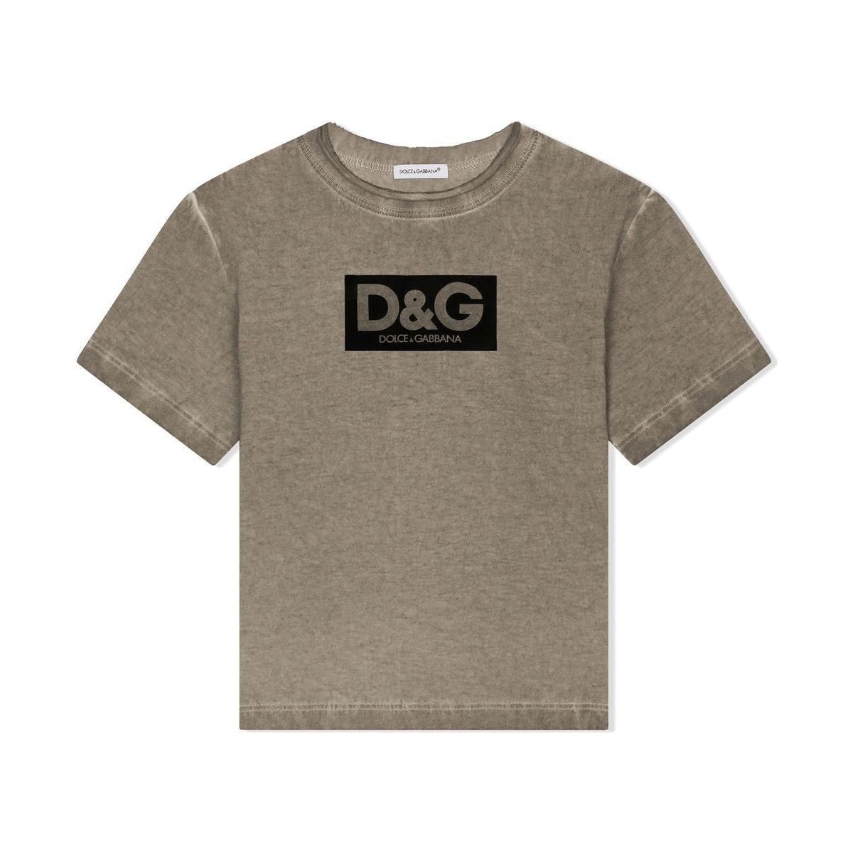 t-shirt in grey in grey