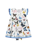 dress shortslv+pants in blue butterfly