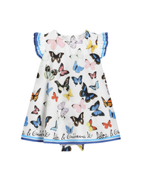 dress shortslv+pants in blue butterfly