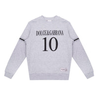 sweatshirt in gray