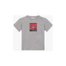 t-shirt in grey in grey