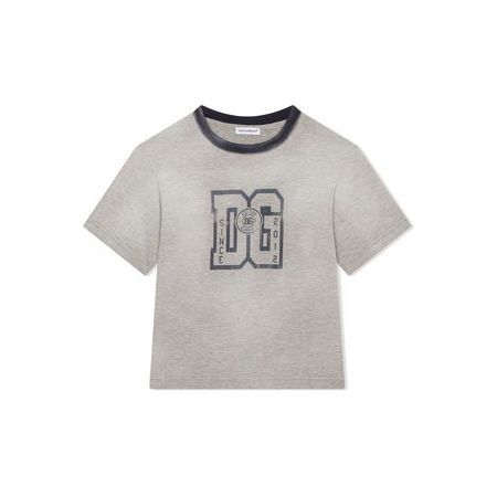 t-shirt in grey in grey